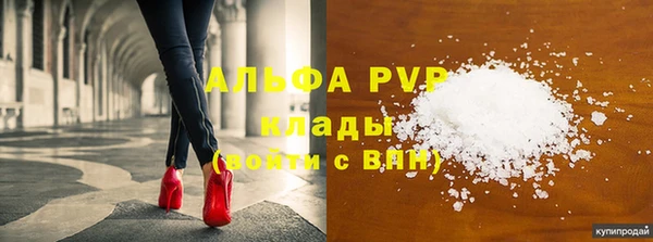 эйфоретик Арсеньев
