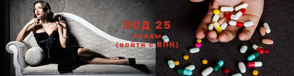 MESCALINE Аркадак