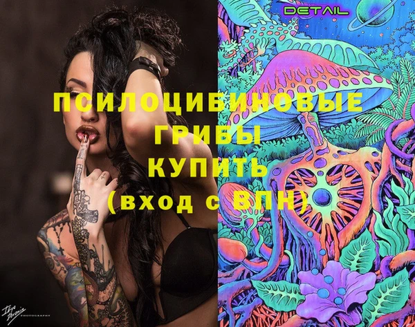 эйфоретик Арсеньев