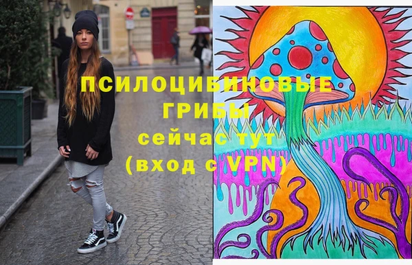 MESCALINE Аркадак