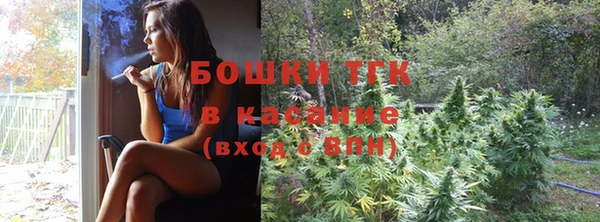 эйфоретик Арсеньев