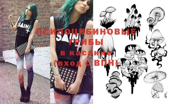 MESCALINE Аркадак