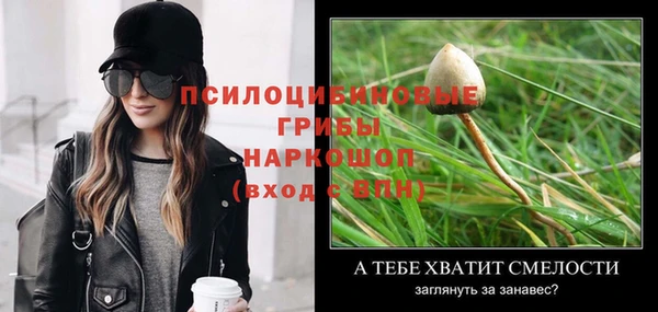 MESCALINE Аркадак